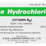 Vitamin B6 Pyridoxine Hydrochloride 100mg